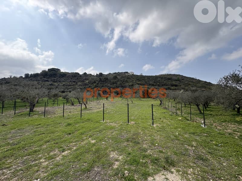 Flat Land In Kfifan-Batroun For Sale أرض مسطحة في كفيفان-بترون CPJGN22 0