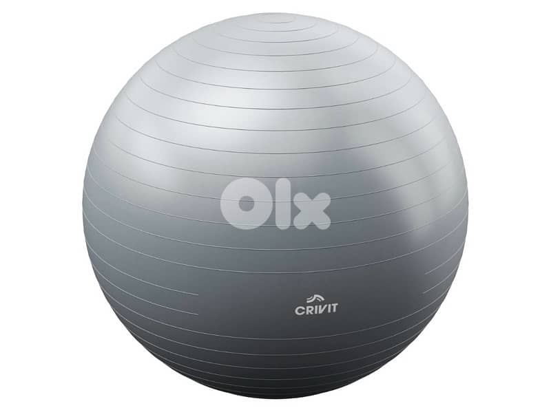 طابة CRIVIT Gym Ball Lidl 65cm 0