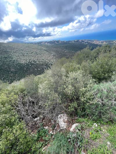 Mountin And Sea View , Bechtlida - Jbeil / بشتلدا -  جبيل REF#NI134131