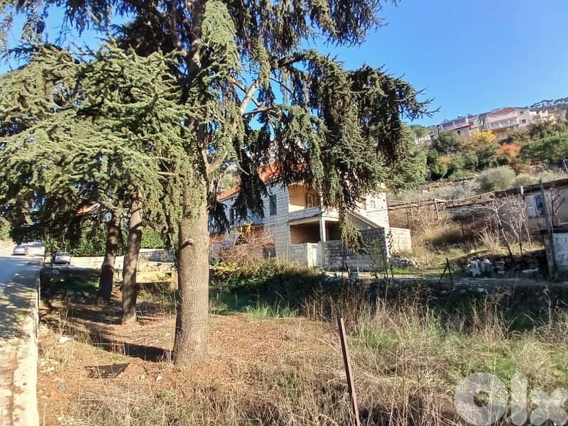 L20770 - Traditional Old House With Land For Sale in Khenchara 1