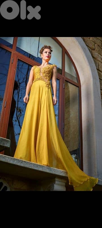 evening dress 1