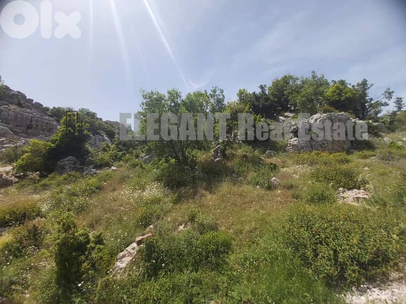 Amazing Land | 1550 Sq. m | Ehmej 0