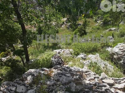 Amazing Land | 1550 Sq. m | Ehmej