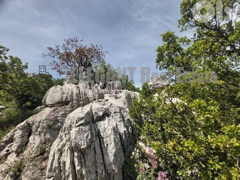 Amazing Land | 1550 Sq. m | Ehmej 2