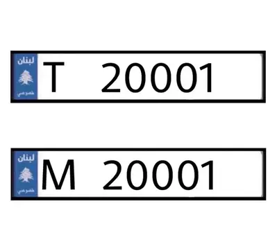 T   20001   &   M   20001