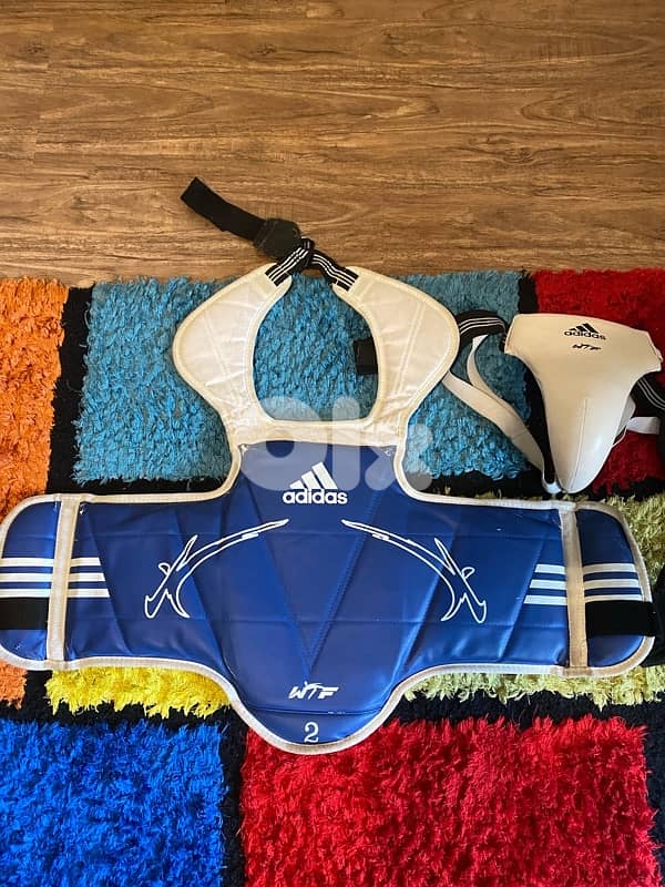 taekwondo protection hogu and groin protection 0