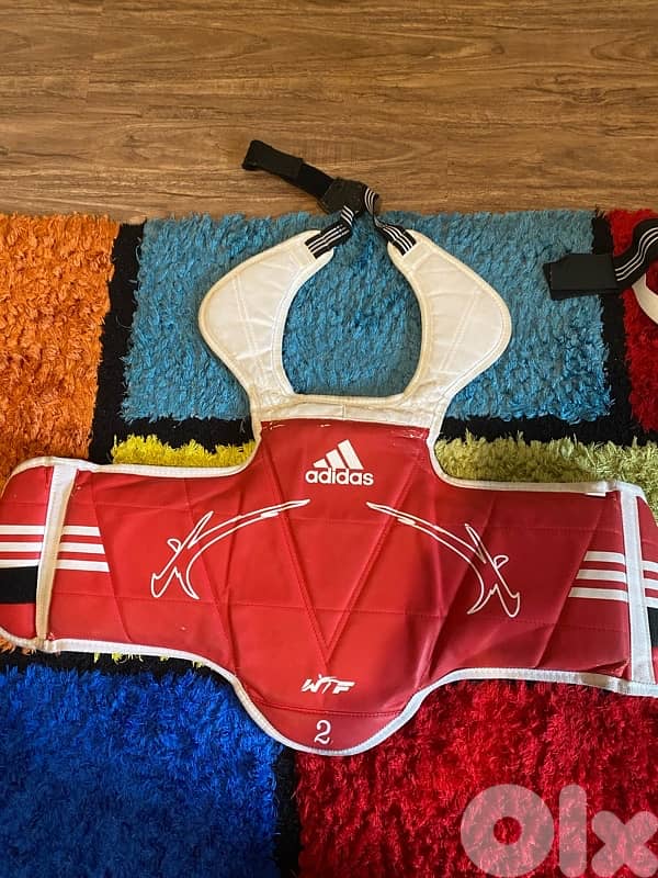 taekwondo protection hogu and groin protection 3
