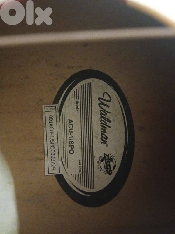 Vintage Guitar 2
