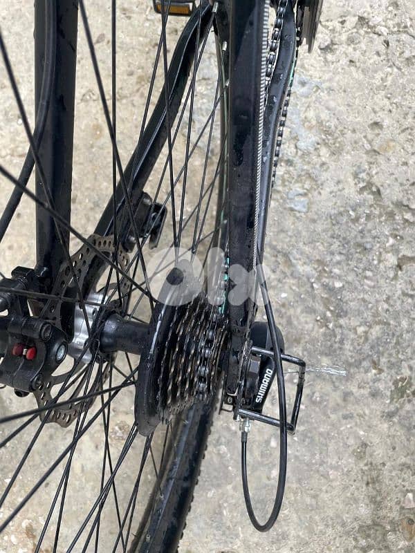 Bicycle GALANT 1