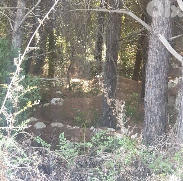 1485m2 Land in cornet chehwan 0