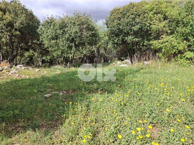 1000m2 Land in Cornet chehwan 0