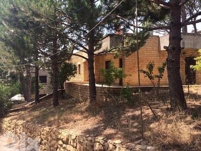Villa 2floors 350m total on 600m land Duwwar Bekfaya Metn Villa 2floors 350m total on 600m land Duwwar Bekfaya Metn