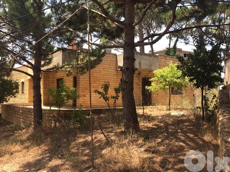 Villa 2floors 350m total on 600m land Duwwar Bekfaya Metn 1