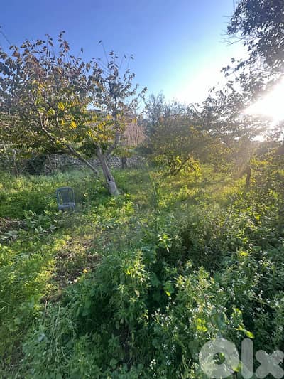 Great investment ,Needs renovation, okeibe / أوكايبي REF#CO134193