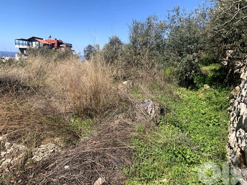 RWB186NK - Land for rent in Aamchit Jbeil 0