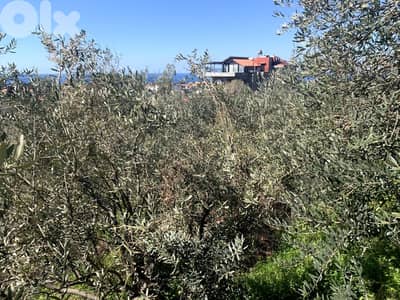 RWB186NK - Land for rent in Aamchit Jbeil