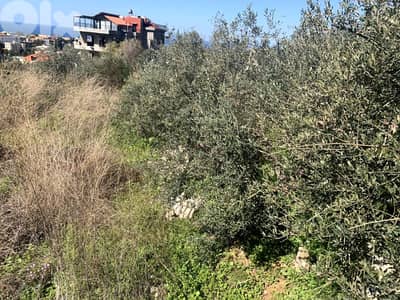 RWB186NK - Land for rent in Aamchit Jbeil