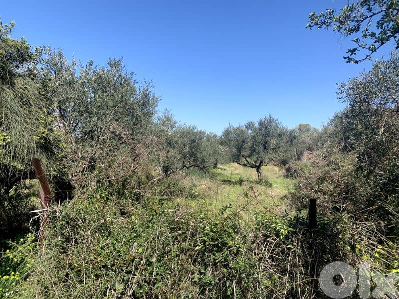 RWB167NK - Land for rent in Aamchit Jbeil 0