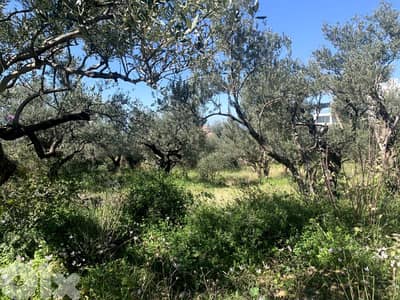 RWB167NK - Land for rent in Aamchit Jbeil