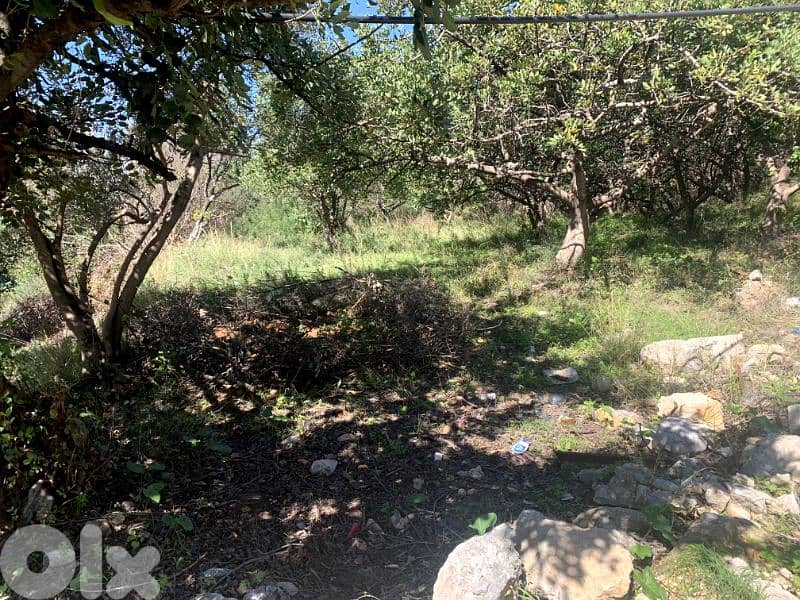 RWB188NK - Land for rent in Amchit Jbeil 0