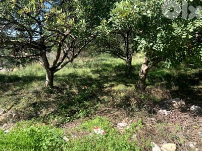 RWB188NK - Land for rent in Amchit Jbeil