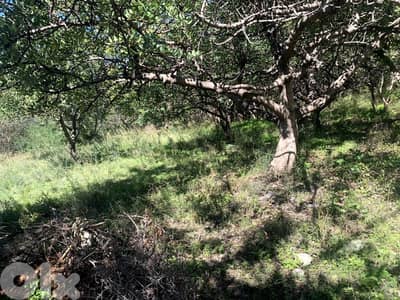 RWB188NK - Land for rent in Amchit Jbeil