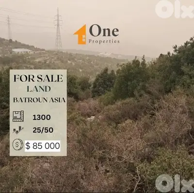 LAND FOR SALE IN BATROUN ASIA