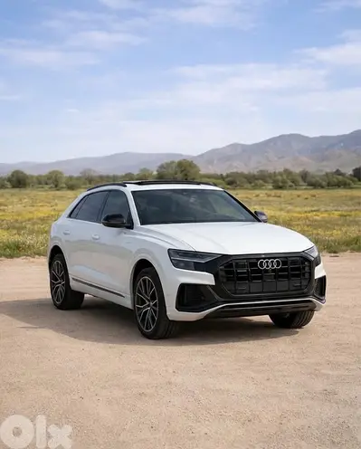 Audi Q8 2019