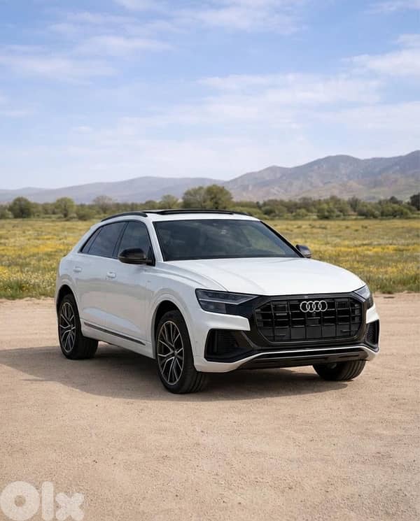Audi Q8 2019 0