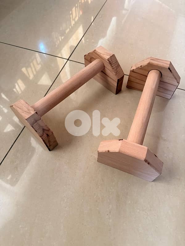 calisthenics handles 6
