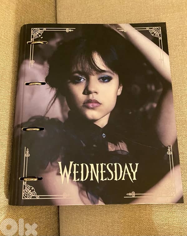 Wednesday file folder 0