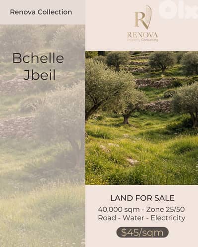 Land for sale in Bchelle Jbeil