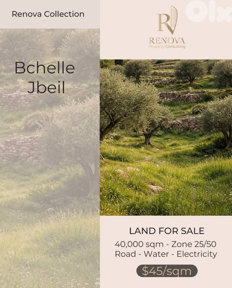 Land for sale in Bchelle Jbeil 0