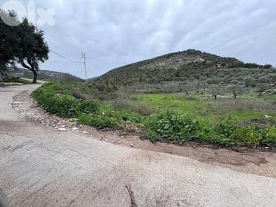 Land for sale in Chabtine, Batroun أرض للبيع في شبطين، البترون