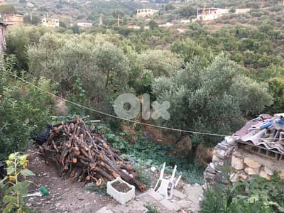 Land for sale in Chabtine, Batroun أرض للبيع في شبطين، البترون