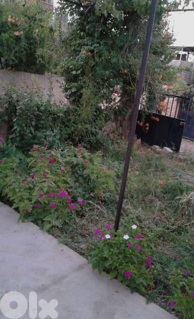 land for sale in elkaa أرض للبيع في القاع