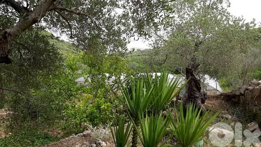 old stone house for sale in Jran_Batrounببت حجر قديم  للبيع في جران