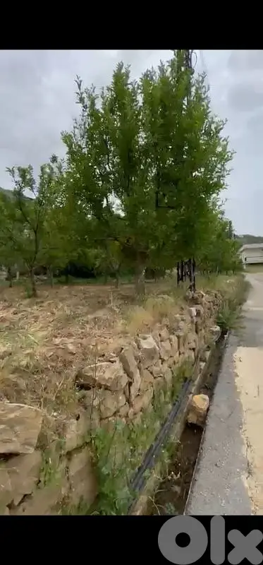 land for sale in basloukit ehden أرض للبيع في بصلوقيت اهدن