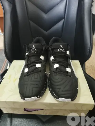 Zoom Freak 5