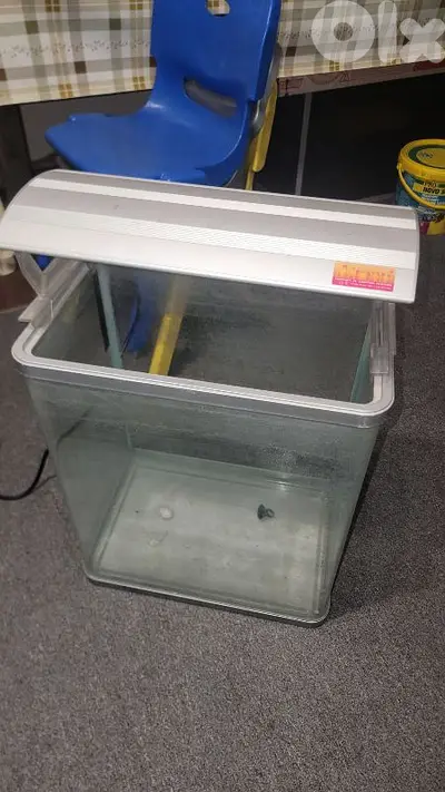 aquarium  اكواريوم
