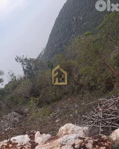 Land for sale in Batroun DW31 أرض للبيع في البترون