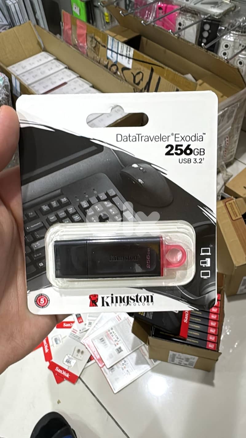 Kingston exodia flash memory 256gb 17$ 0
