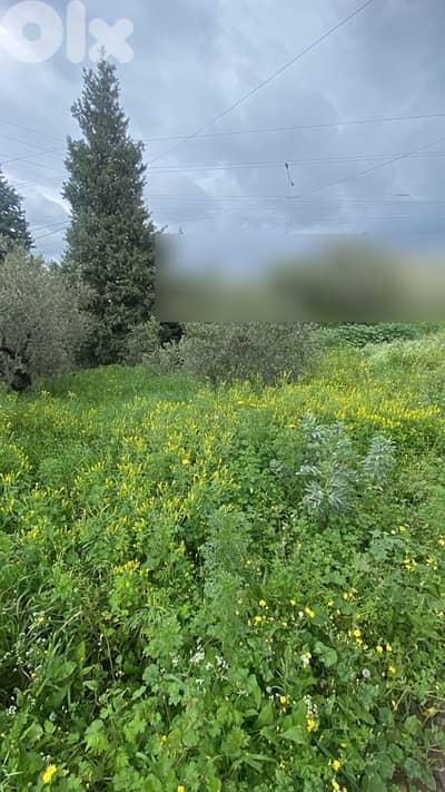 land for rent ارض للاجار