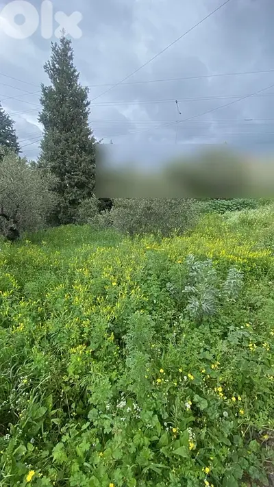 land for rent ارض للاجار