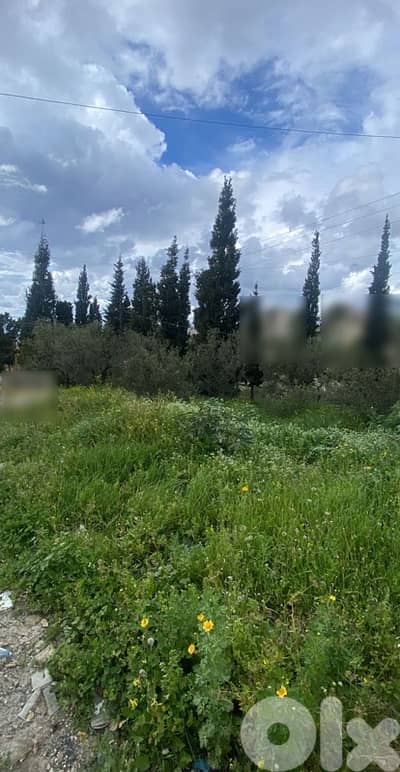 land for rent ارض للاجار
