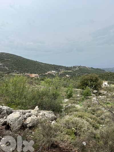 4 lands for sale in Assia, Batroun أربع قطع أراضٍ للبيع في آسيا 4 lands for sale in Assia, Batroun أربع قطع أراضٍ للبيع في آسيا