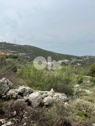 4 lands for sale in Assia, Batroun أربع قطع أراضٍ للبيع في آسيا 4 lands for sale in Assia, Batroun أربع قطع أراضٍ للبيع في آسيا