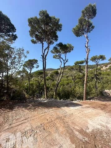 Land for sale (with construction permits) - payment facilities 8