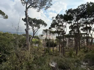 Land for Sale in Mar Moussa – 1,313 sqm أرض للبيع في مار موسى