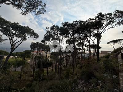 Land for Sale in Mar Moussa – 1,313 sqm أرض للبيع في مار موسى